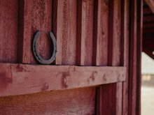 Foto: Mag Mecdonald @unsplash.com